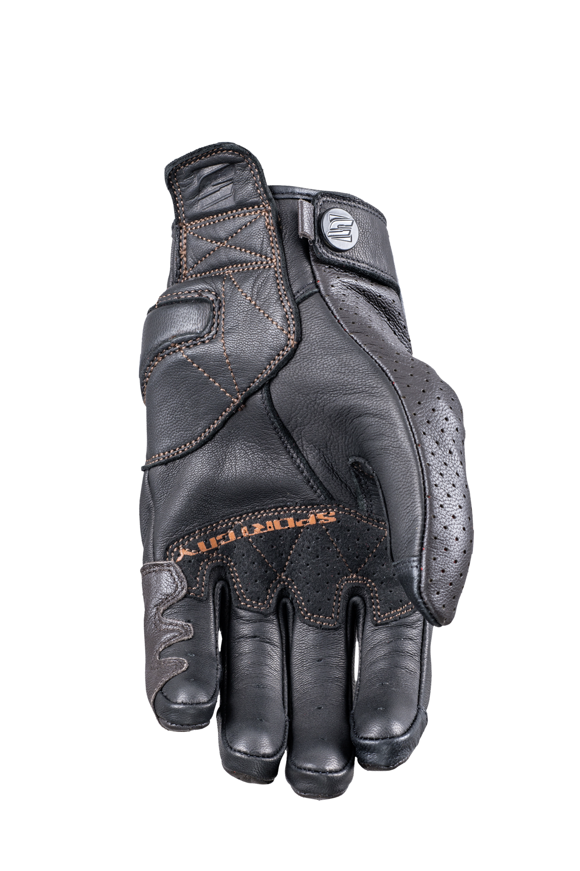 sportcity_brown_2019_palm